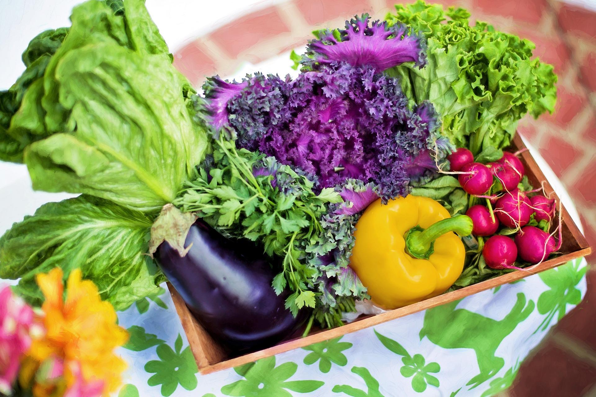 SUPPLIER SAYUR DAN BUAH DI JAKARTA SELATAN manfaat sayuran bagi tubuh manusia