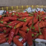 cabe rawit merah supplyyuk 3