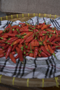 cabe rawit merah supplyyuk 3