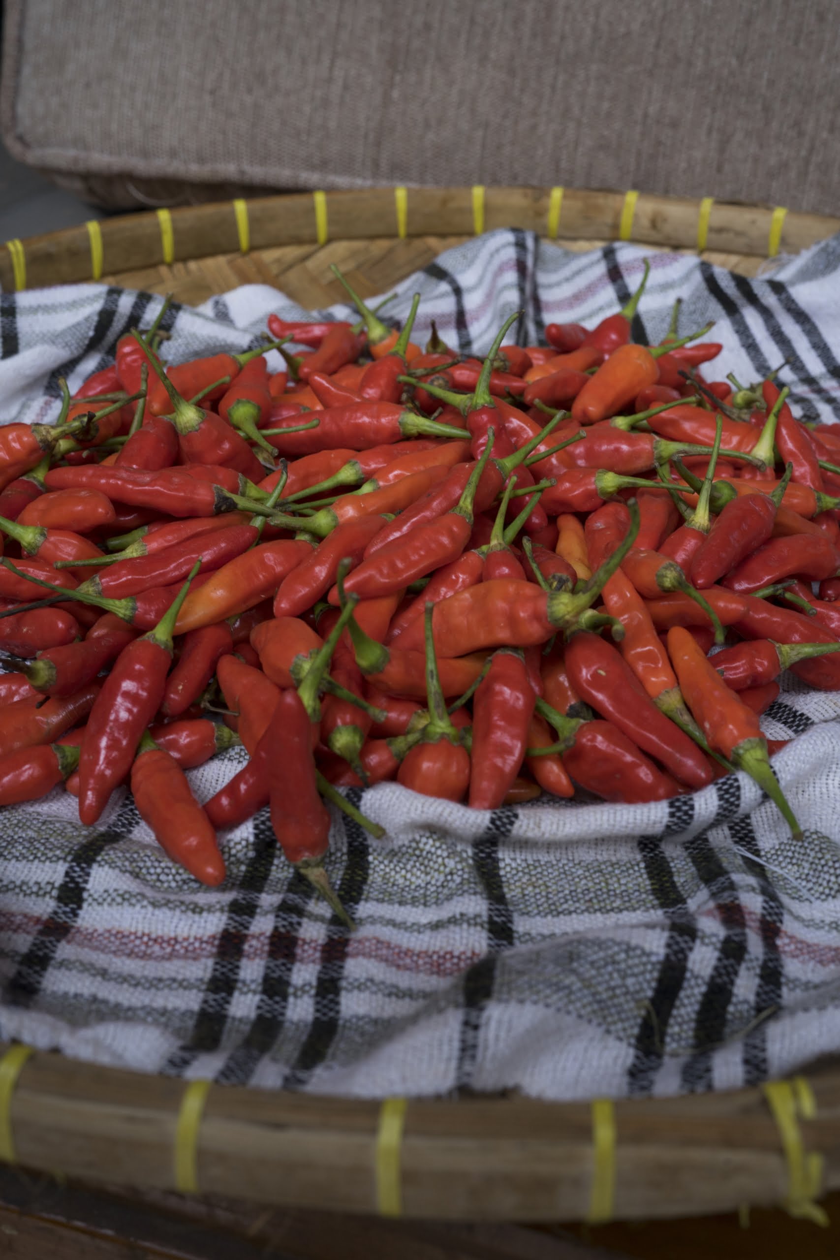 SUPPLIER SAYUR DAN BUAH DI JAKARTA SELATAN cabe rawit merah supplyyuk, supplier sayur dan buah di jakarta selatan
