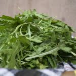 daun arugula supplyyuk
