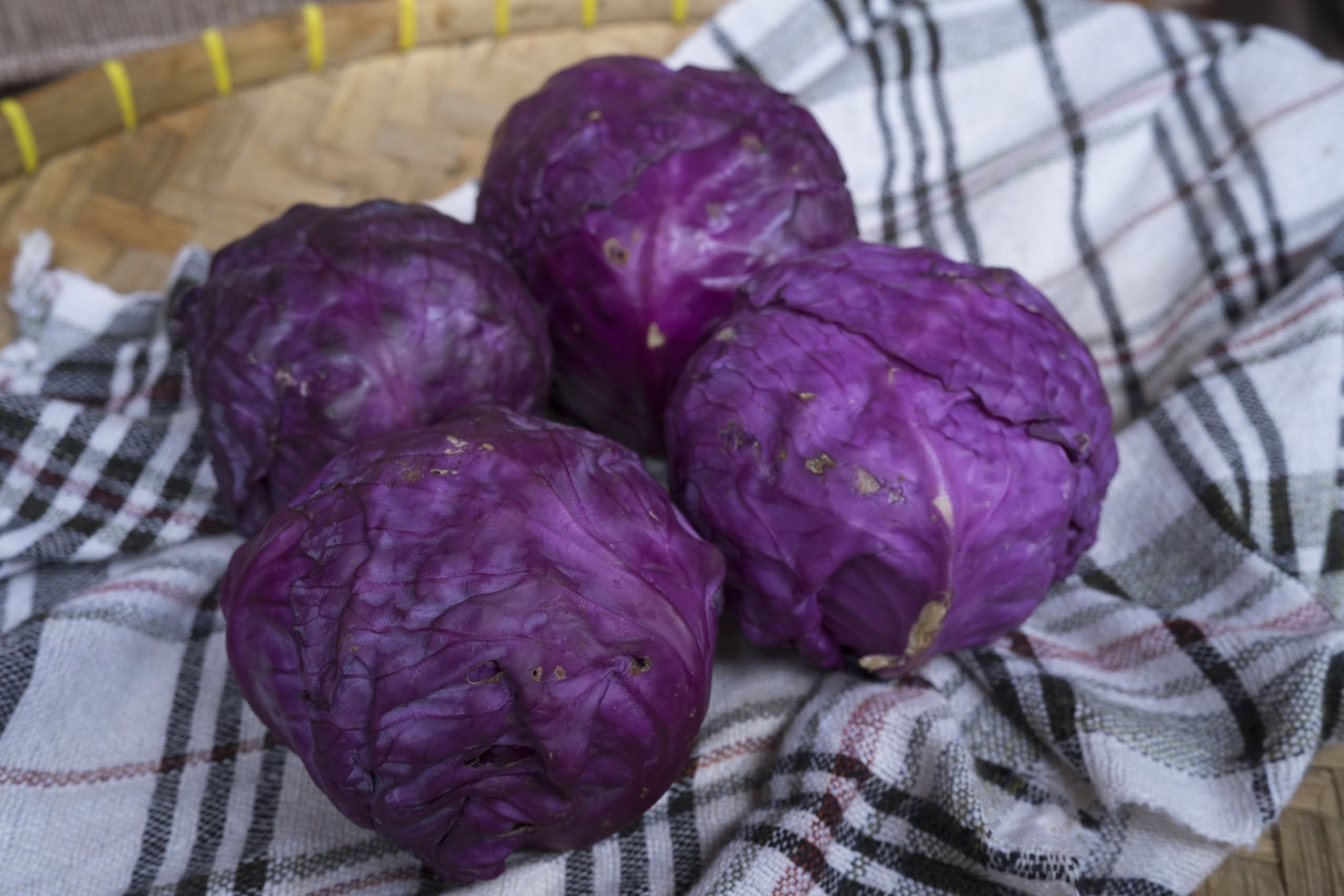 SUPPLIER SAYUR DAN BUAH DI JAKARTA SELATAN kol ungu supplyyuk 3