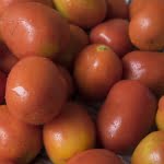 jual sayuran di bekasi, tomat merah