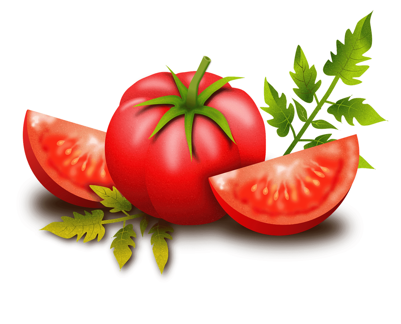 supplier buah dan sayur di surabaya