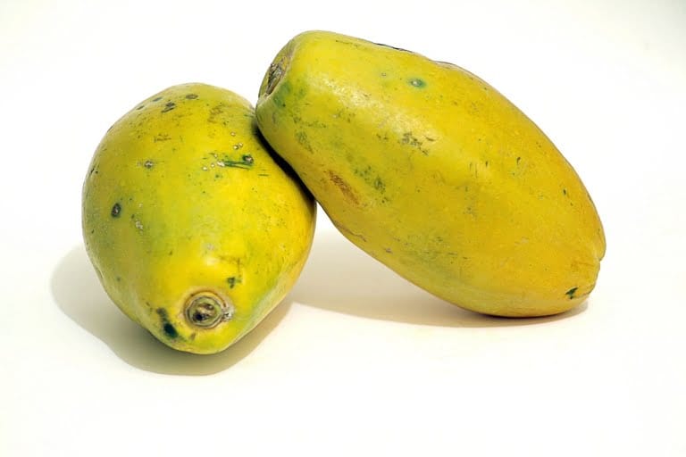 supplier sayur di jakarta