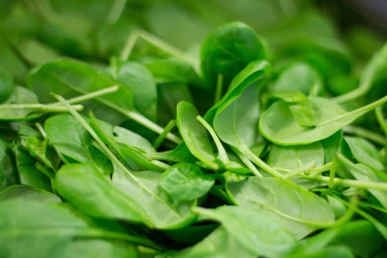 supplier kentang sayur