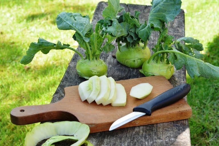 supplier sayur di jakarta denpasar
