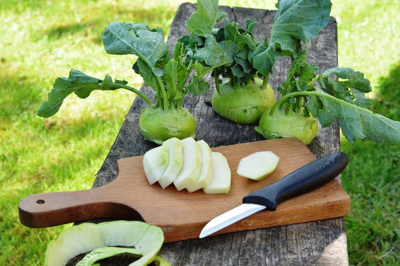 supplier sayur di jakarta denpasar