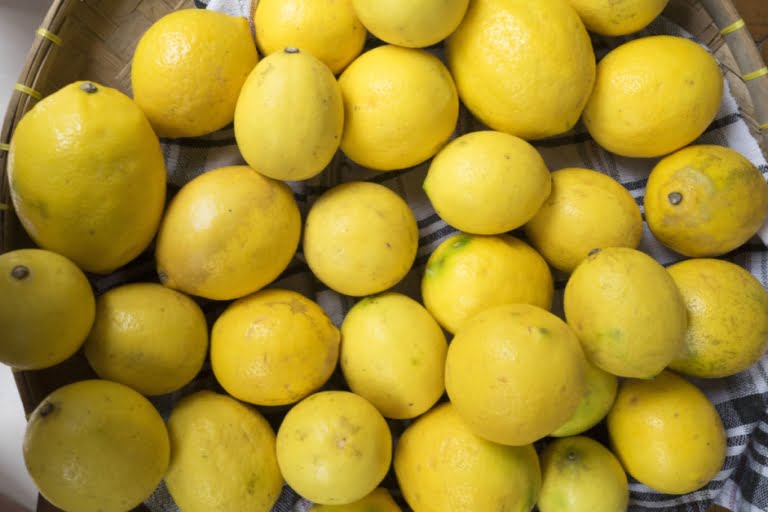 lemon lokal