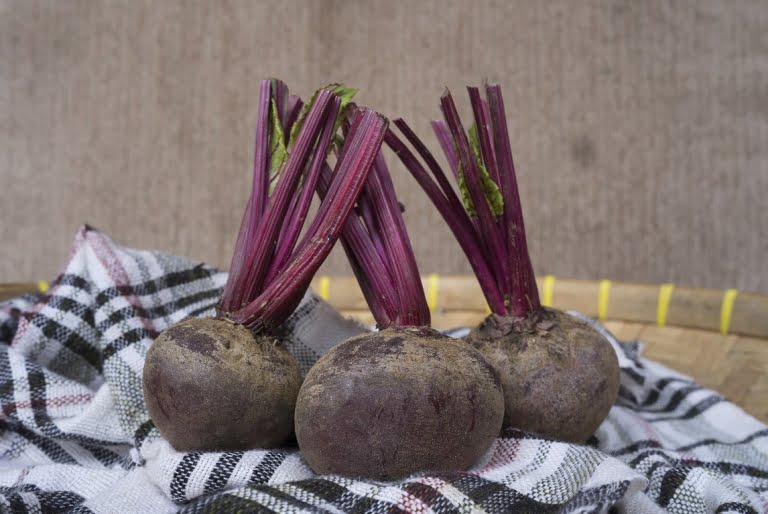 beetroot supplyyuk 3