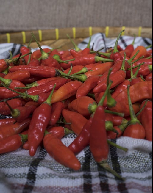 cabe rawit merah supplyyuk 3