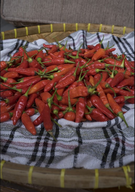 cabe rawit merah supplyyuk 3