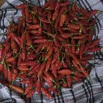 cabe rawit merah supplyyuk 3