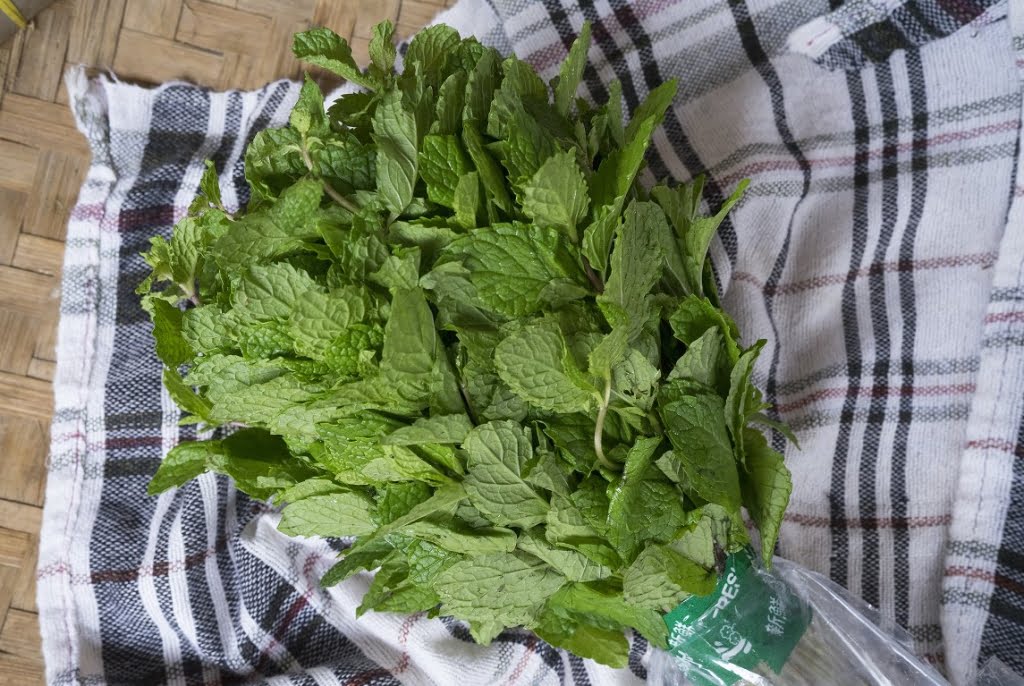 daun mint supplyyuk 1