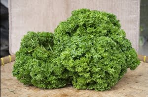 daun parsley supplyyuk 4