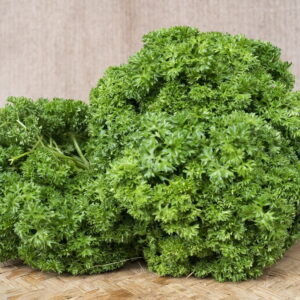 daun parsley supplyyuk 4