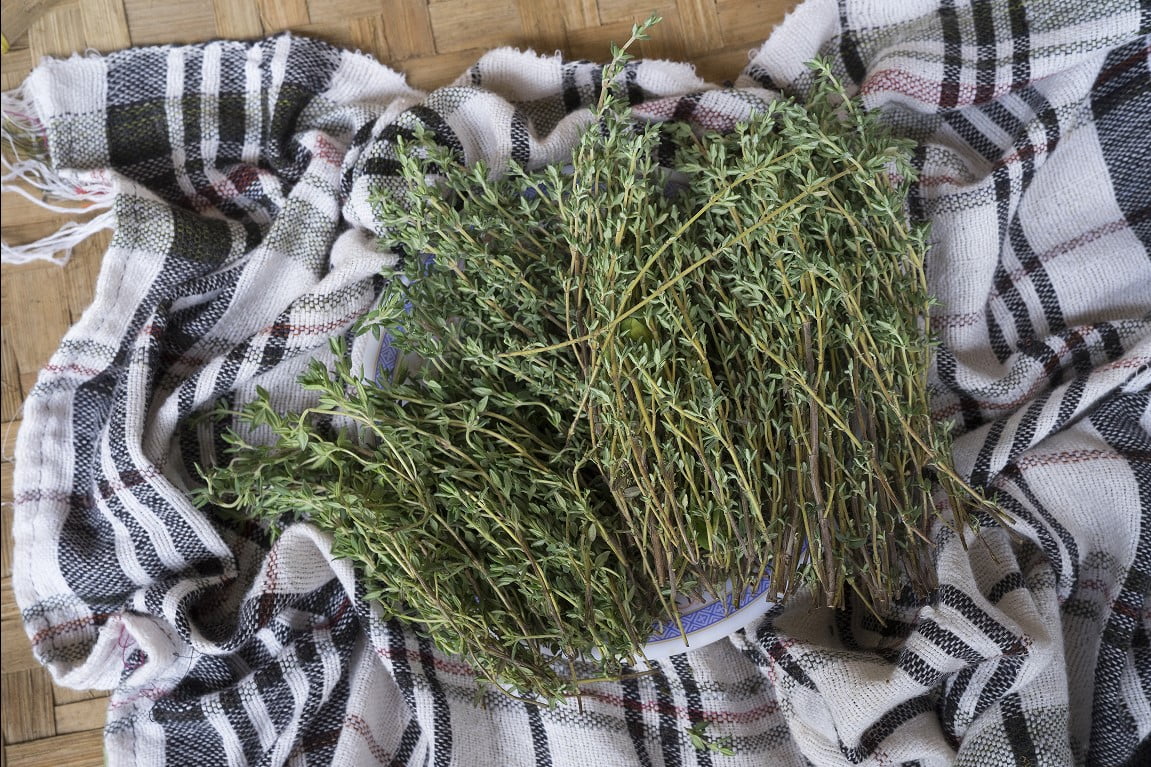 daun thyme supplyyuk 3