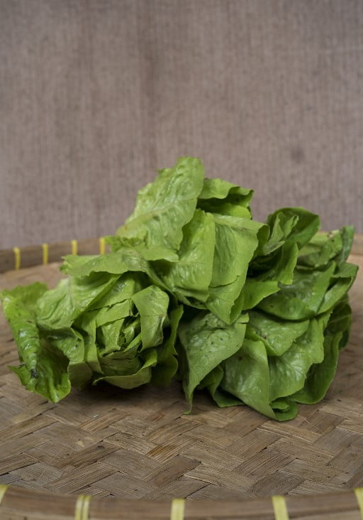 romaine supplyyuk 3