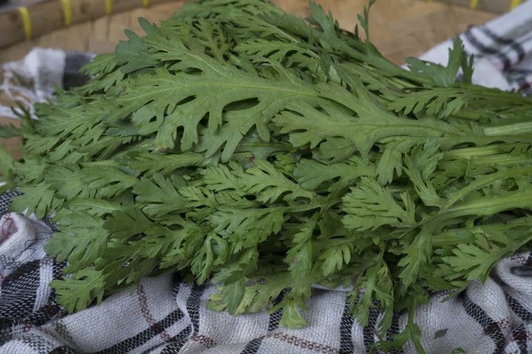 daun tang oh supplyyuk 3