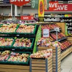supplier sayur supermarket