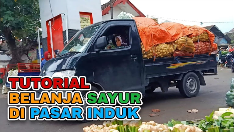 agen sayuran jual murah di pantai indah kapuk