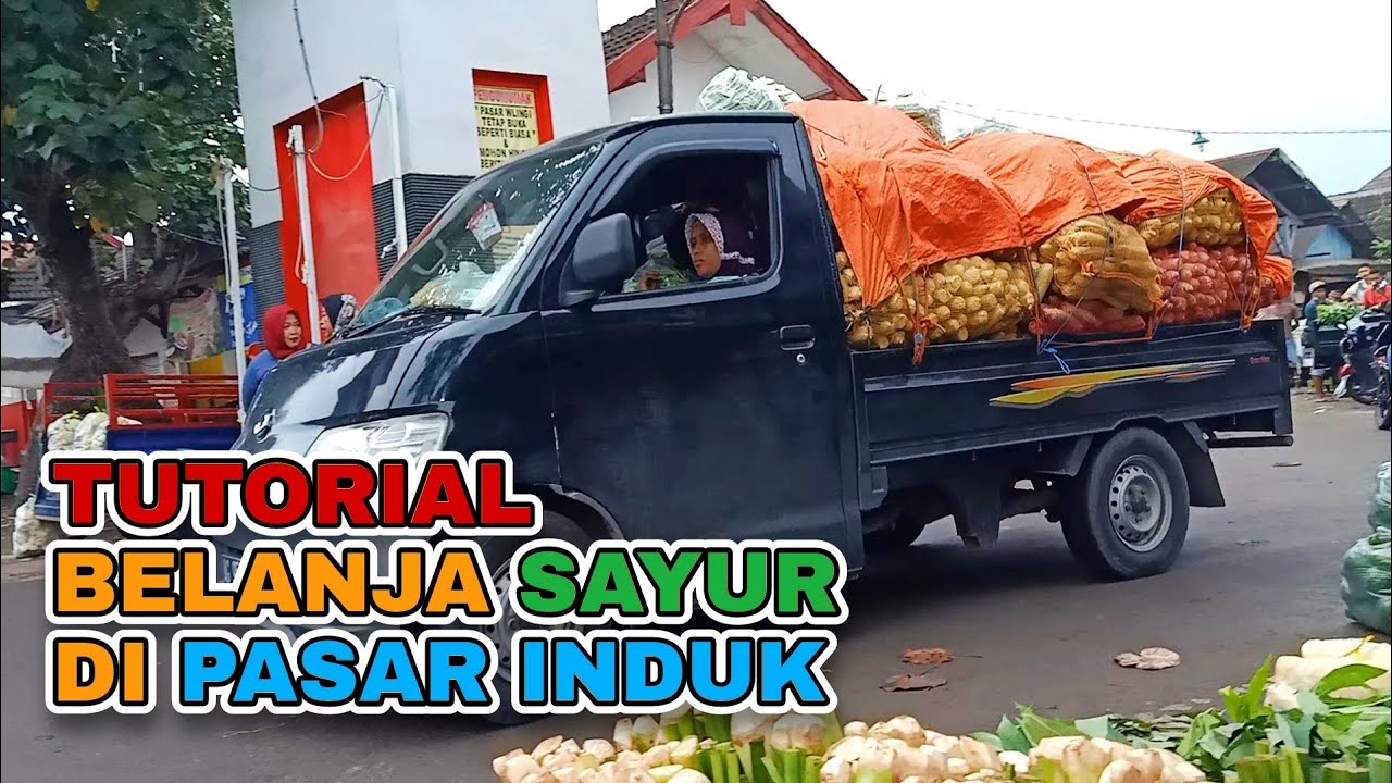 agen sayuran jual murah di pantai indah kapuk