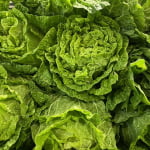 Manfaat Selada Romaine