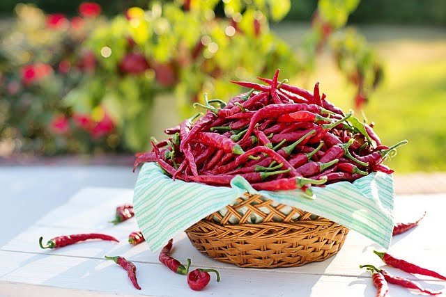 Tukang Sayur Organik Manfaat Cabe Rawit Merah