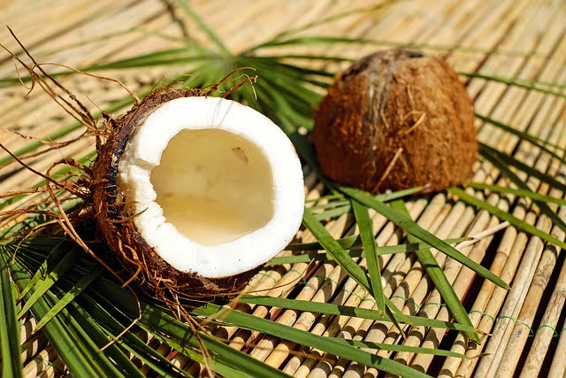 SUPPLIER KELAPA PARUT KERING