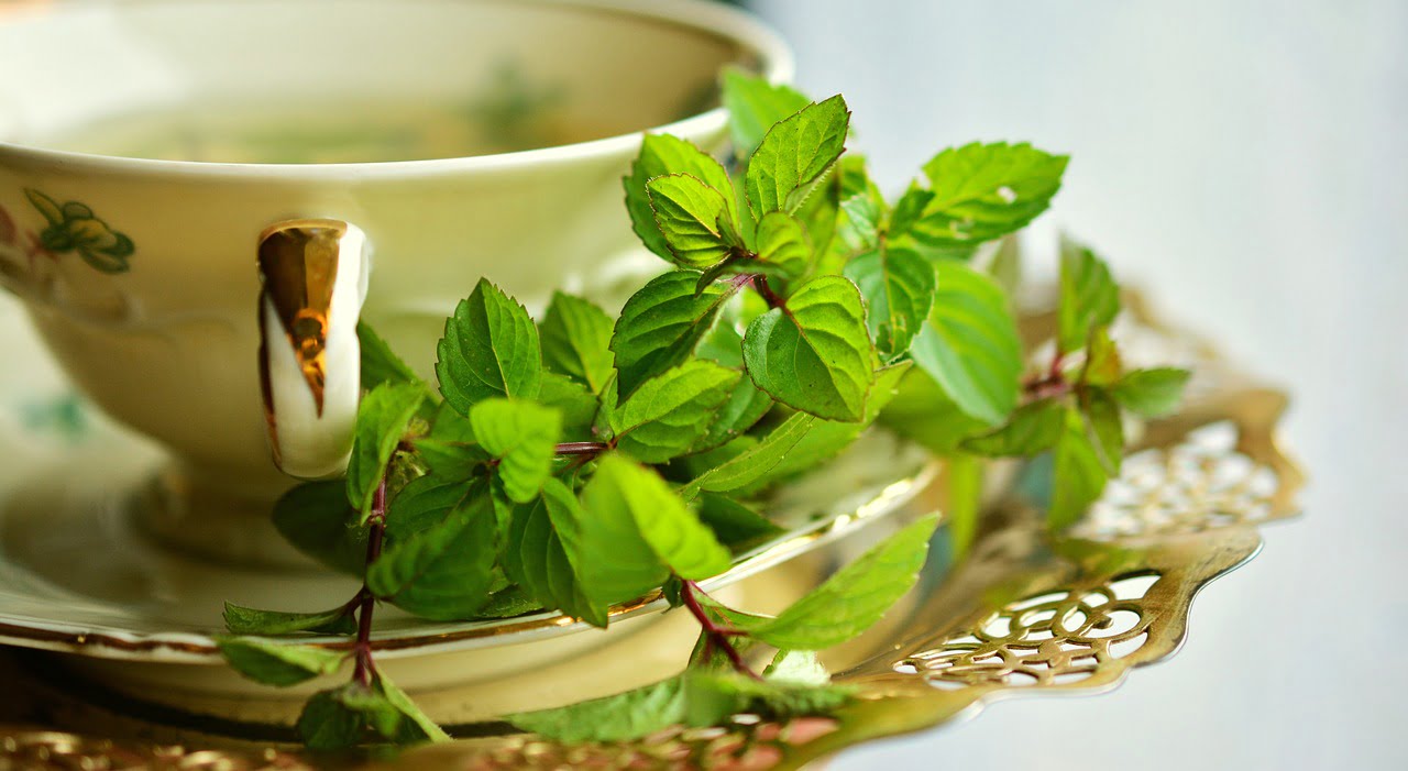 Manfaat Daun Mint Untuk Kesehatan manfaat daun mint untuk kesehatan
