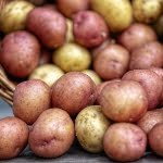 supplier buah dan sayur di surabaya