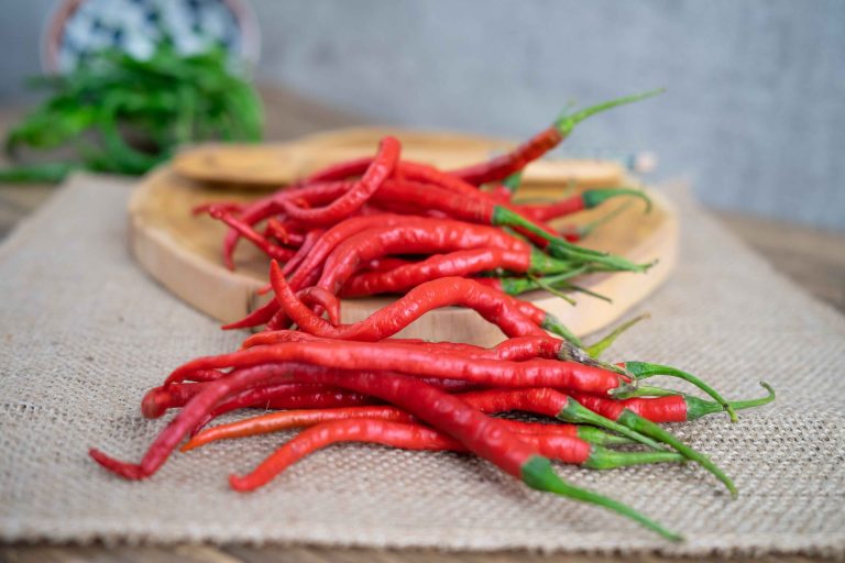 cabe keriting merah