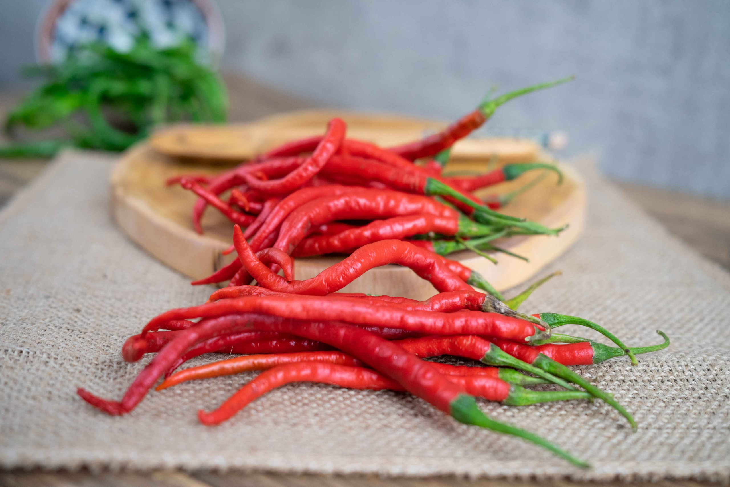 Supplier sayur dan buah Bekasi cabe keriting merah