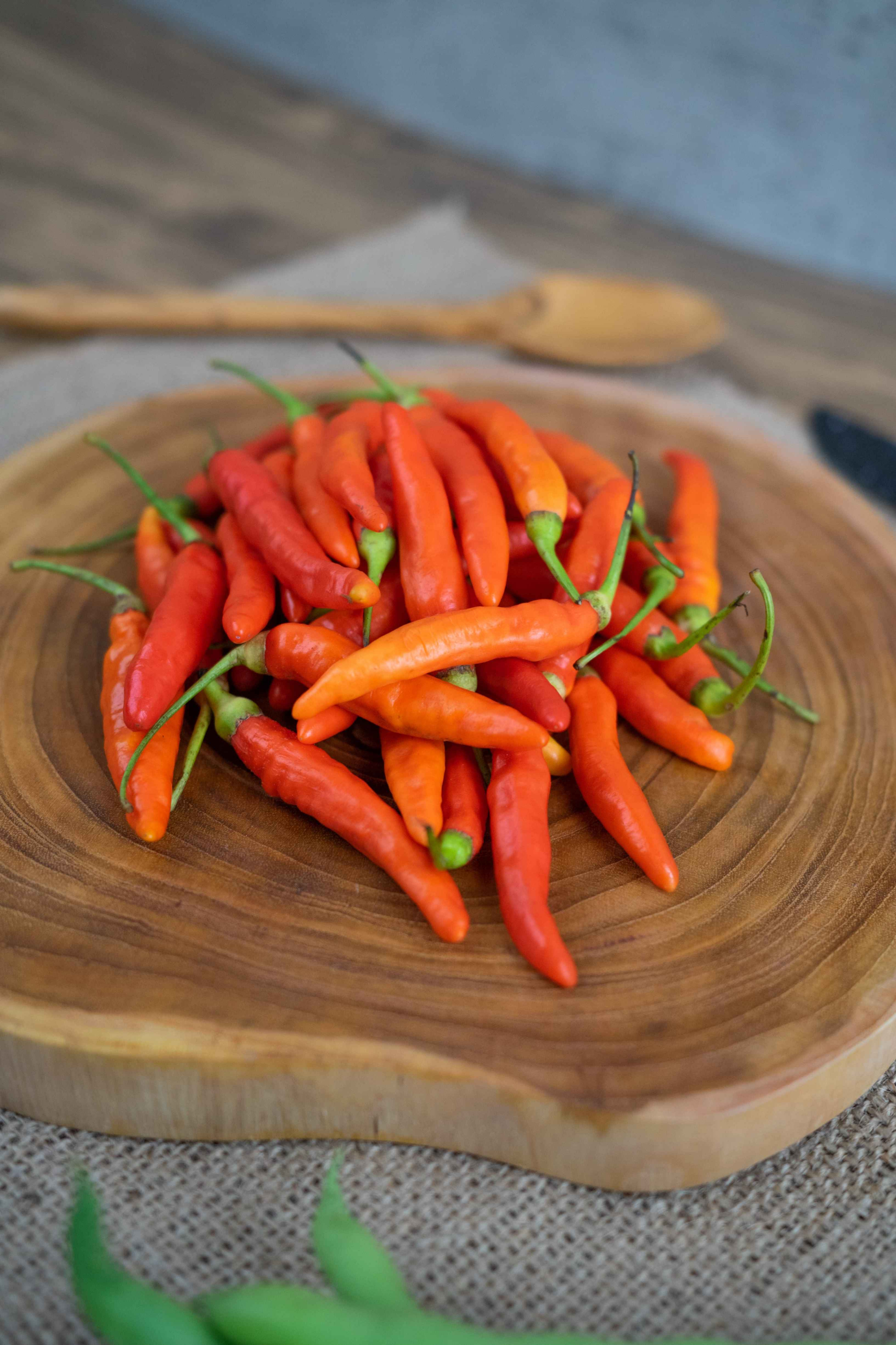 supplier dapur MBG Bogor supplier dapur MBG Bogor