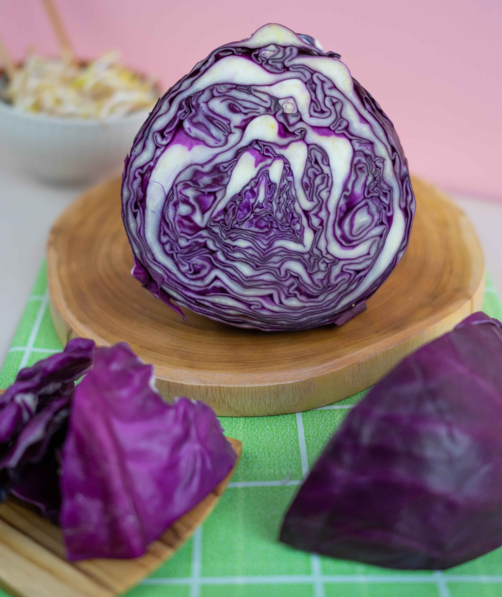 SUPPLIER SAYUR HIDROPONIK