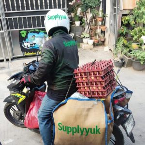 supplier sayuran terdekat di bekasi