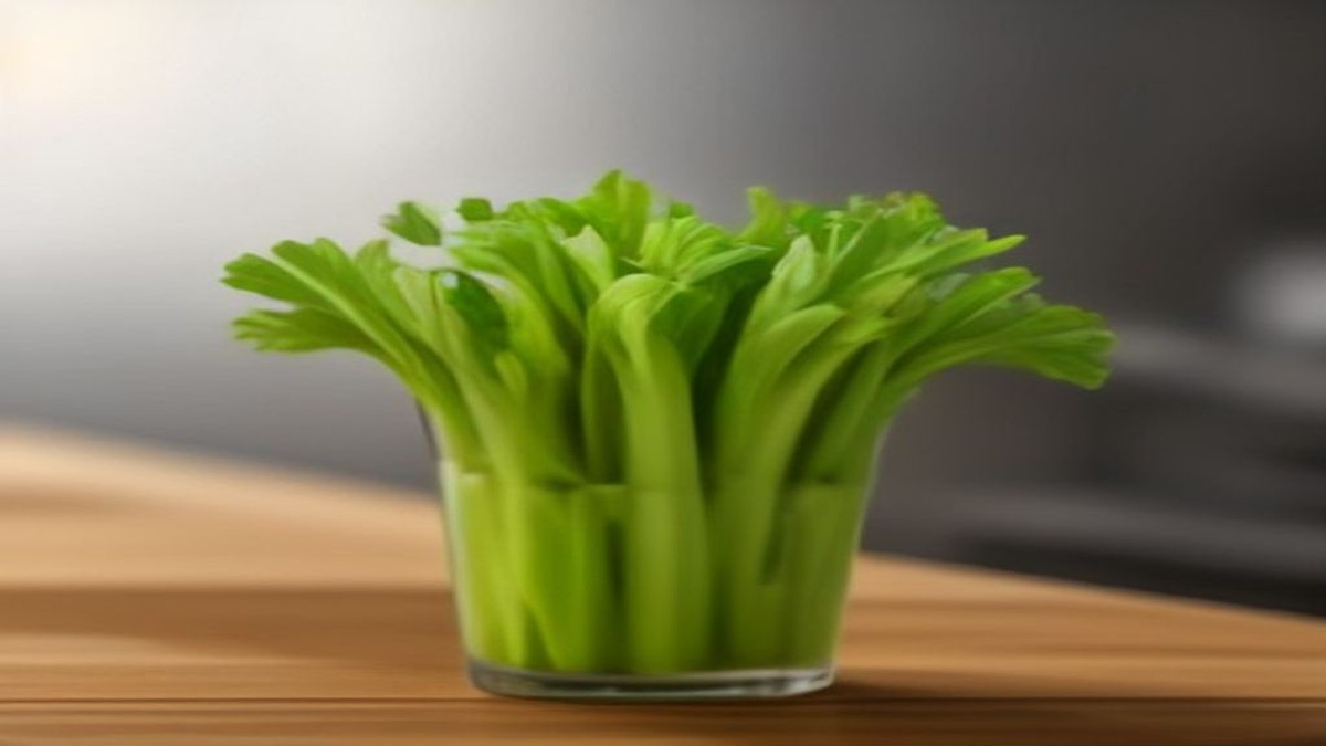supplier sayur segar hotel restoran jakarta supplier sayur segar hotel restoran jakarta